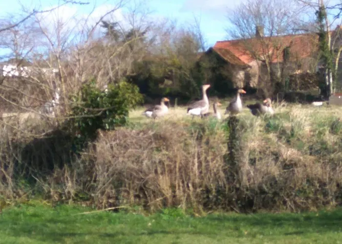 Hébergement de vacances Le Temple